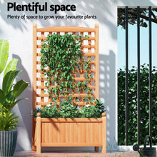 Load image into Gallery viewer, Green Fingers 2X Garden Bed Wooden 64x35x115cm Planter Raised Box Container Trellis - The White Mall