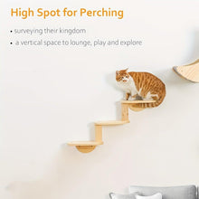 Load image into Gallery viewer, Solid Wood Wall Mounted Cat Climbing Tree Rack Platform Space Capsule Bed Shelf