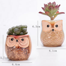 Load image into Gallery viewer, 6PCS Mini Owl Plant Pots Ceramic Succulent Cactus Bonsai Flower Pots