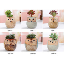 Load image into Gallery viewer, 6PCS Mini Owl Plant Pots Ceramic Succulent Cactus Bonsai Flower Pots