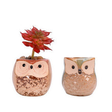 Load image into Gallery viewer, 6PCS Mini Owl Plant Pots Ceramic Succulent Cactus Bonsai Flower Pots