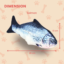 Load image into Gallery viewer, Floofi USB Electric Fish Toy (Salmon) PT-CTT-125-QQQ
