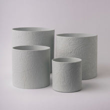 Load image into Gallery viewer, Tree Stripes Cylinder Pot Monstera - Morning Mist (Medium)