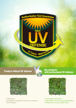 Load image into Gallery viewer, 1 SQM Artificial Plant Wall Grass Panels Vertical Garden Foliage Tile Fence 1X1M