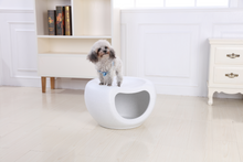 Load image into Gallery viewer, Cat Kitten Bed Cave Small Dog House Kennel Plastic Pet Pod Bedding Igloo White