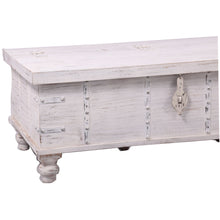 Load image into Gallery viewer, Surya Coffee Table Antique Handcrafted Solid Mango Wood Storage Trunk Chest Box