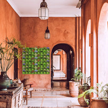 Load image into Gallery viewer, 72 Pockets Wall Hanging Planter Planting Grow Bag Vertical Garden Vegetable Flower Green