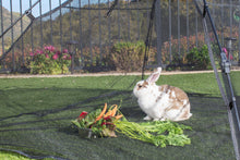 Load image into Gallery viewer, Outdoor Cat Enclosures Indoor Cats Portable Tent, Cat Tunnel, Playhouse Play Tents Small Animals