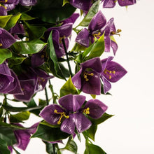 Load image into Gallery viewer, Hanging Artificial Bougainvillea Plant Purple UV Resistant 90cm