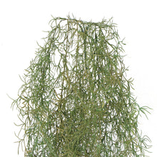 Load image into Gallery viewer, Artificial Air Plant Spanish Moss UV Resistant 100cm