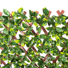 Load image into Gallery viewer, Jasmine Artificial Hedge Extendable Trellis / Screen 2 Meter By 1 Meter UV Resistant (PVC)
