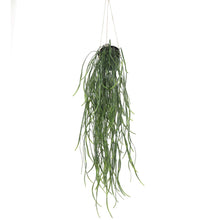 Load image into Gallery viewer, Artificial Hanging Potted Plant (Willow Leaf) 66cm UV Resistant