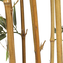 Load image into Gallery viewer, Premium Natural Cane Artificial Bamboo (UV Resistant) 150cm