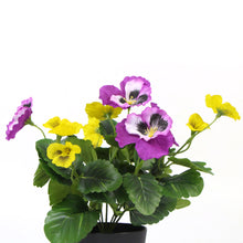 Load image into Gallery viewer, Mixed Pink And Yellow Flowering Potted Artificial Pansy Plants 25cm