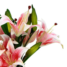 Load image into Gallery viewer, Premium Faux Pink Lily In Glass Vase (Artificial Tiger Lily Arrangement)