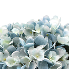 Load image into Gallery viewer, Premium Faux Hydrangea With Glass Vase (Artificial Flowering Blue Hydrangea) 23cm