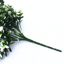 Load image into Gallery viewer, White Tipped Money Leaf Stem 32 cm