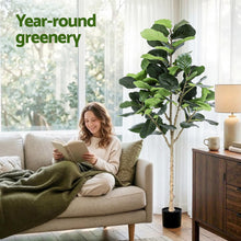 Load image into Gallery viewer, Artiss 180cm Artificial Fiddle Tree Faux Trees Indoor Decor Artificial Plants Lifelike Plant 1.8M
