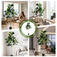 Load image into Gallery viewer, Artiss 180cm Artificial Fiddle Tree Faux Trees Indoor Decor Artificial Plants Lifelike Plant 1.8M
