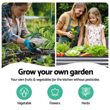 Load image into Gallery viewer, Green Fingers 3 Pcs Raised Garden Bed Kit Oval Galvanized Steel Planter Boxes 240x80x42cm, Heavy Duty Metal Elevated Garden Bed for Vegetables Flowers Herbs, with Safety Edging, Gloves &amp; Pegs Included
