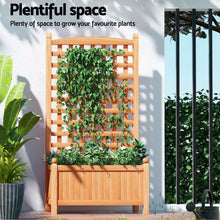 Load image into Gallery viewer, Green Fingers 2X Garden Bed Wooden 64x35x115cm Planter Raised Box Container Trellis
