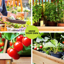 Load image into Gallery viewer, Green Fingers Garden Bed Elevated 120x60x80cm Wooden Planter Box Raised Container
