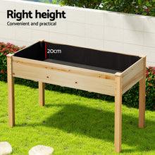 Load image into Gallery viewer, Green Fingers Raised Garden Bed 2x Elevated 120x60x80cm Wooden Planter Box Container
