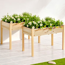 Load image into Gallery viewer, Green Fingers Raised Garden Bed 2x Elevated 120x60x80cm Wooden Planter Box Container
