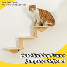 Load image into Gallery viewer, Solid Wood Wall Mounted Cat Climbing Tree Rack Platform Space Capsule Bed Shelf
