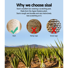 Load image into Gallery viewer, i.Pet Cat Tree 120cm Trees Scratching Post Scratcher Tower Condo House Furniture Wood Multi Level
