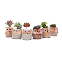 Load image into Gallery viewer, 6PCS Mini Owl Plant Pots Ceramic Succulent Cactus Bonsai Flower Pots
