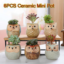 Load image into Gallery viewer, 6PCS Mini Owl Plant Pots Ceramic Succulent Cactus Bonsai Flower Pots
