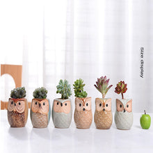 Load image into Gallery viewer, 6PCS Mini Owl Plant Pots Ceramic Succulent Cactus Bonsai Flower Pots
