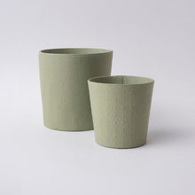 Load image into Gallery viewer, Tree Stripes Conical Pot Dotty - Sage Green (Small)
