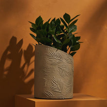 Load image into Gallery viewer, Tree Stripes Hi-Lo Pot Palms - Light Brown (Large)
