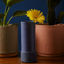 Load image into Gallery viewer, Tree Stripes Textured Base Bud Vase in Blue
