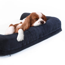 Load image into Gallery viewer, Paw Mate M Black Pet Sofa Couch Cushion Tufty Dog Cat Bed
