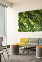 Load image into Gallery viewer, 5 SQM Artificial Plant Wall Grass Panels Vertical Garden Foliage Tile Fence 1X1M
