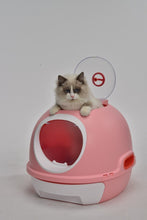 Load image into Gallery viewer, Hooded Cat Toilet Litter Box Tray House With Drawer &amp; Scoop Pink
