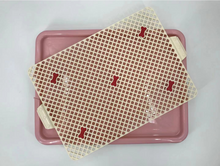 Load image into Gallery viewer, Small Portable Dog Potty Training Tray Mat Pet Puppy Toilet Trays Loo Pad Pink
