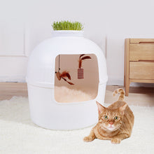 Load image into Gallery viewer, Multifunctional Cat Litter Box Pet Cat House Semi-Enclosed White
