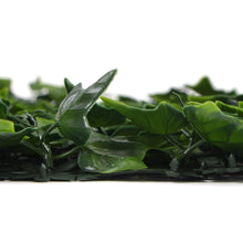 Load image into Gallery viewer, Variegated Boston Ivy Leaf Screen Green Wall Panel UV Resistant 1m X 1m (Solid Backing)
