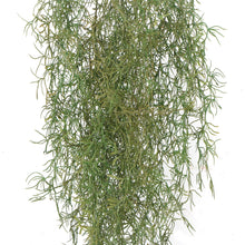 Load image into Gallery viewer, Artificial Air Plant Spanish Moss UV Resistant 100cm
