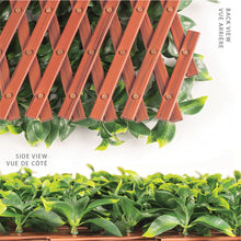 Load image into Gallery viewer, Jasmine Artificial Hedge Extendable Trellis / Screen 2 Meter By 1 Meter UV Resistant (PVC)

