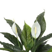 Load image into Gallery viewer, Artificial Spathiphyllum Peace Lily Plant with White Flowers 60cm
