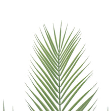 Load image into Gallery viewer, Small Artificial Areca Palm Tree Plant 80cm
