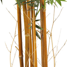 Load image into Gallery viewer, Premium Natural Cane Artificial Bamboo (UV Resistant) 180cm
