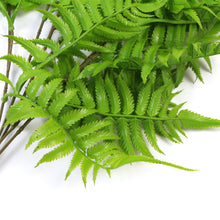 Load image into Gallery viewer, Artificial Hanging English Fern (Two-Tone) Foliage UV Resistant 80cm
