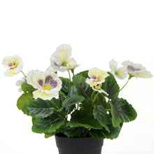 Load image into Gallery viewer, Mixed White Flowering Potted Artificial Pansy Plants 25cm
