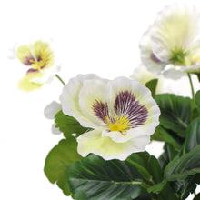 Load image into Gallery viewer, Mixed White Flowering Potted Artificial Pansy Plants 25cm
